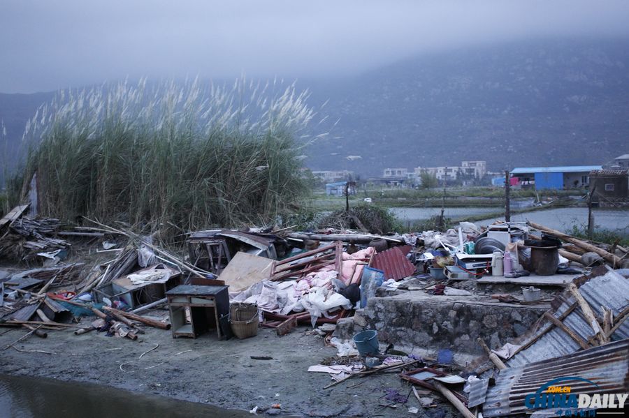 廣東陸豐：臺(tái)風(fēng)“天兔”來(lái)襲 受災(zāi)嚴(yán)重