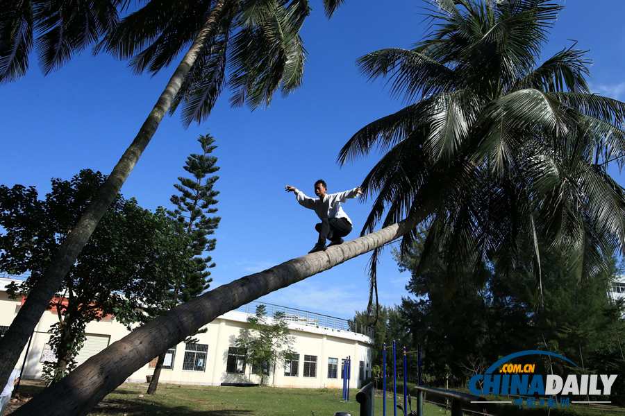海南驚現(xiàn)椰子樹上練武功“神人”