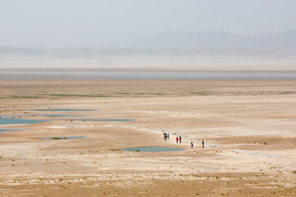 中國最大淡水湖提前枯水變成花海草原