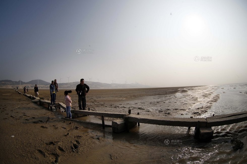 中國最大淡水湖提前枯水變成花海草原