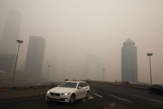 吃青菜體走紅遇神回復(fù)萌翻網(wǎng)友:我每天拿一片青菜當口罩