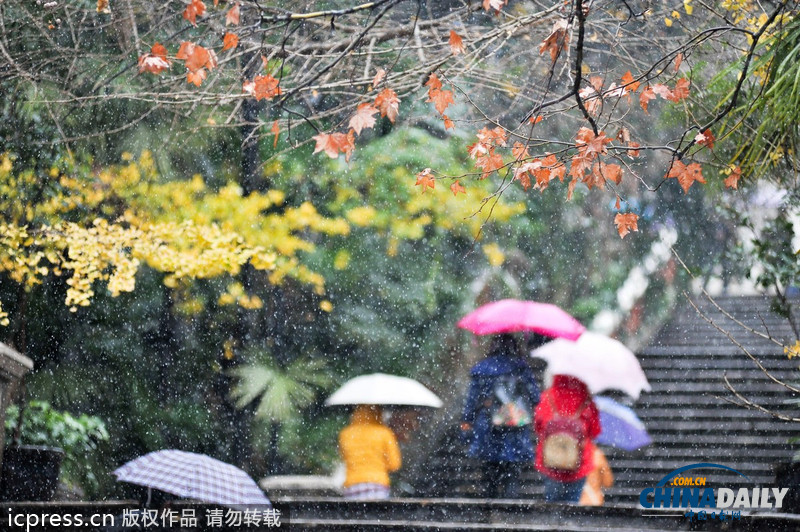 南方持續(xù)雨雪第三日 昆明機(jī)場延長臨時關(guān)閉時間