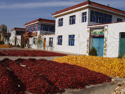 甘肅金昌金川區(qū)大力推進美麗鄉(xiāng)村建設