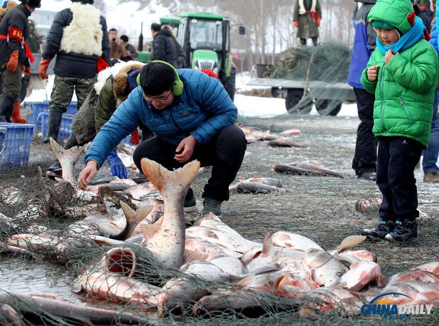 吉林長春石頭口門水庫開網(wǎng)捕魚