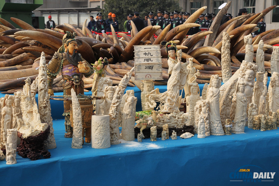 中國(guó)公開(kāi)銷毀6.1噸執(zhí)法查沒(méi)象牙