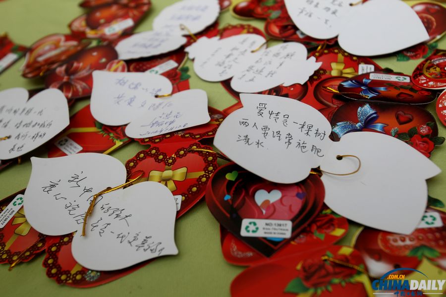 北京植物園邀金婚老人過情人節(jié) 甜蜜“曬證”