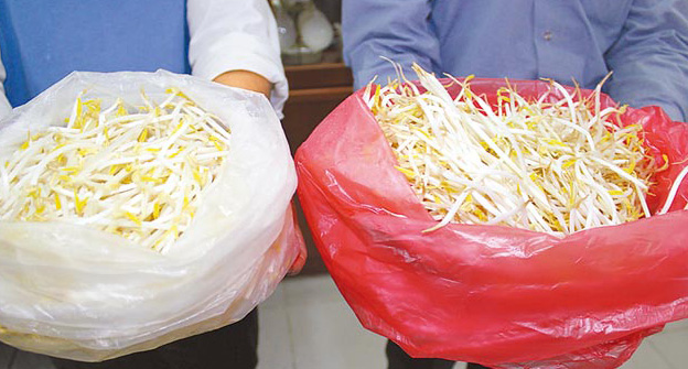 臺灣再爆食安問題 工廠用漂白劑生產(chǎn)豆芽日產(chǎn)近5噸