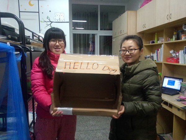 揚(yáng)大學(xué)子廢物利用為流浪動(dòng)物建“愛心小屋”