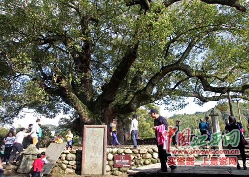 全國網(wǎng)媒記者探尋婺源嚴田千年古樟 觀看儺舞秀