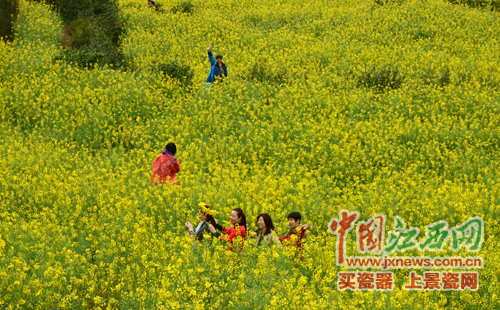 全國網(wǎng)媒記者逛婺源江嶺 邂逅花田喜事贊“天上人間”