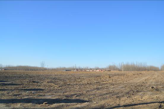 河北三河高廟村“白地”之爭