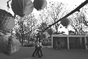 18條春節(jié)廟會(huì)公交專線公布