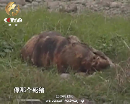 統(tǒng)計(jì)稱(chēng)中國(guó)每年10億噸垃圾圍城 全世界數(shù)一數(shù)二