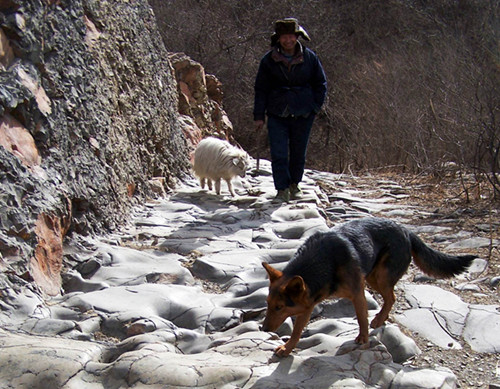 門頭溝舉辦第五屆北京旅游山會(huì)開山門儀式暨國(guó)家步道高峰論壇