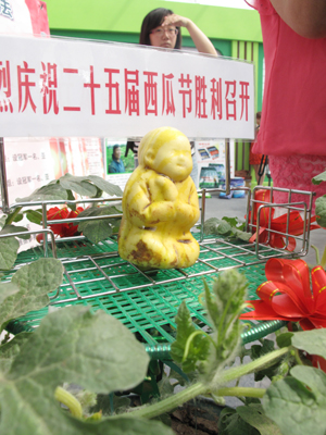 第25屆全國西甜瓜擂臺賽在大興舉辦