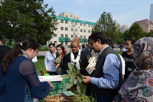 駐華外交使節(jié)在朝陽體驗中醫(yī)藥文化