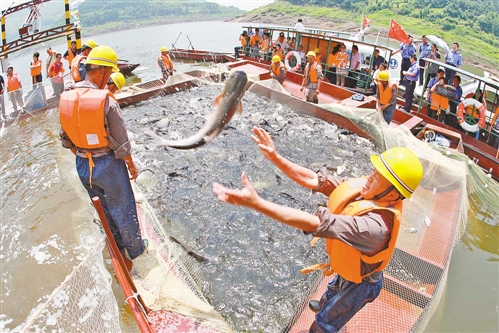 新常態(tài)下，尋求農(nóng)業(yè)發(fā)展方式新轉(zhuǎn)變