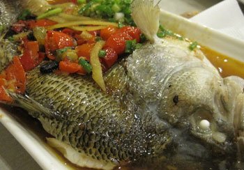 世博美食地圖(組圖)