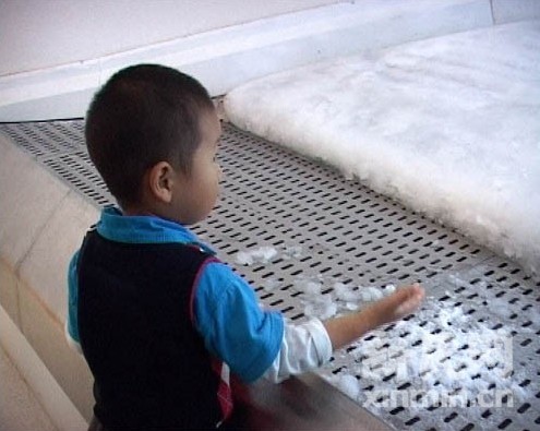 攻略:世博暑期水景線路推薦