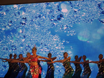 第三屆南洋文化節(jié)鷺島開(kāi)幕