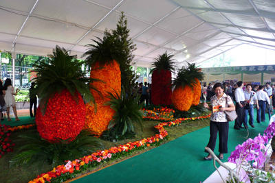 福建省直單位插花展開(kāi)幕 促清流花卉產(chǎn)業(yè)發(fā)展