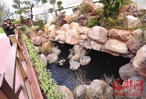 福州梅亭溝黑水入閩江 威脅福州飲用水源(組圖)