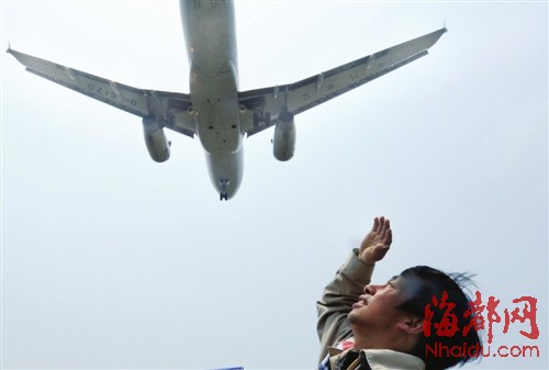 福州機場驅(qū)鳥人：鳥兒是對手，更是朋友