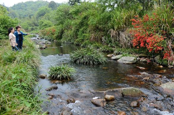 福州：治理畜養(yǎng)污染 發(fā)展生態(tài)農(nóng)業(yè)