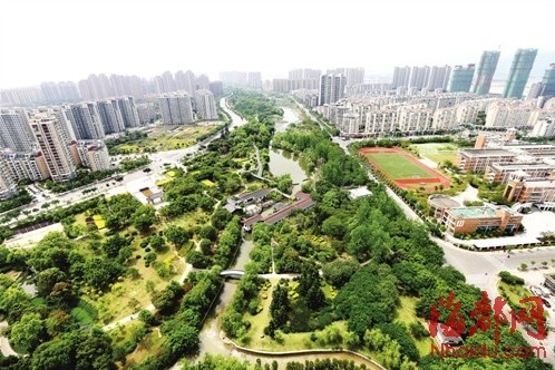 金山流花溪被渣土截?cái)?中下游河道塞滿了水浮蓮和垃圾