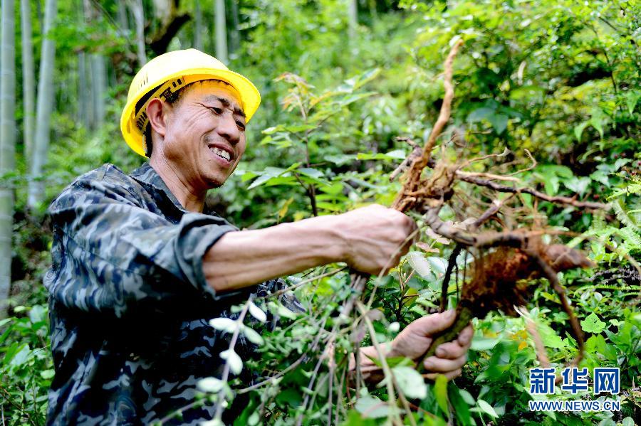 “穿梭在田間地頭的鄉(xiāng)村醫(yī)生”——彭火興