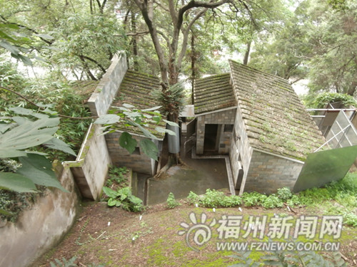 福州向臺灣贈送3只自繁小熊貓 赴臺時間仍在協(xié)商