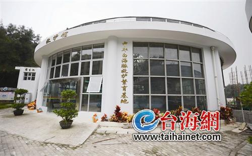 廈門獲準(zhǔn)人工繁育白海豚 預(yù)計(jì)投入將超過(guò)1000萬(wàn)元