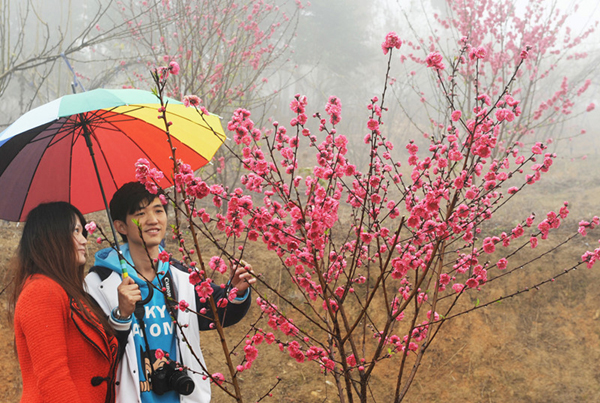 “區(qū)長帶您游同安”系列活動之“田園踏青季”啟動