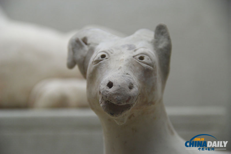 走進(jìn)廣西壯族自治區(qū)博物館