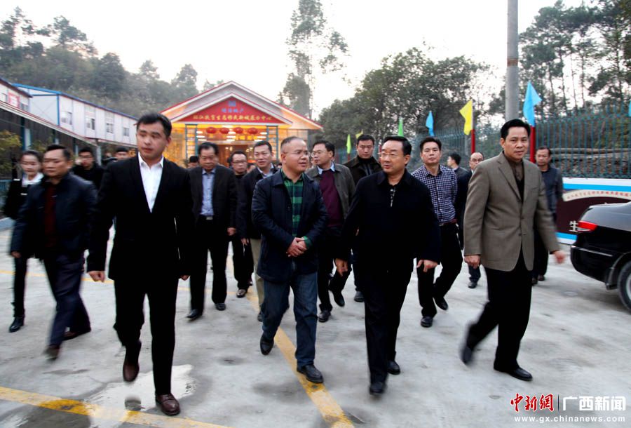廣西自治區(qū)副主席唐仁健到環(huán)江縣調(diào)研扶貧工作