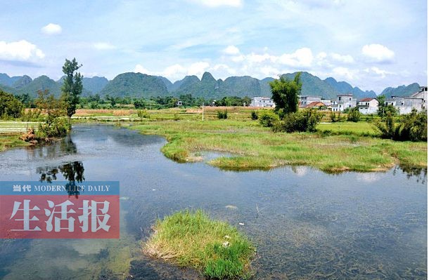 廣西13個(gè)國(guó)家濕地公園 原始生態(tài)風(fēng)光值得欣賞