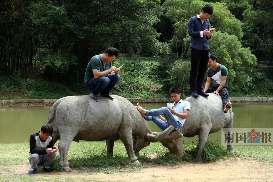 在景區(qū)亂刻亂畫、垃圾亂扔 不文明游客將上黑名單