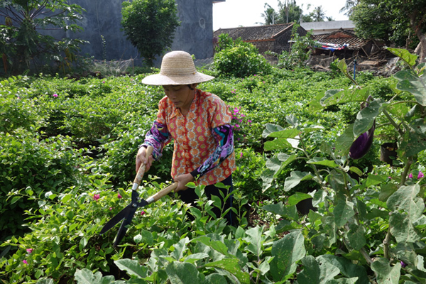 海南文明生態(tài)村巡禮之一——讓鄉(xiāng)村變得更美麗