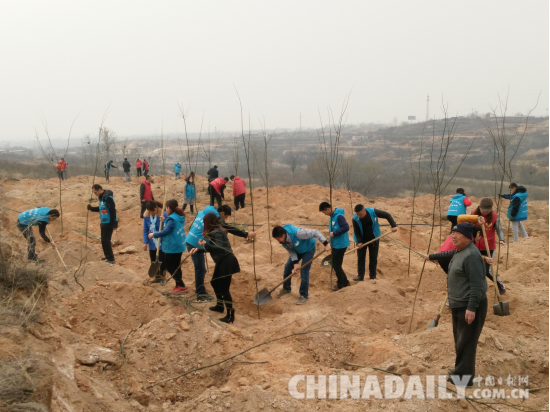 邢臺(tái)市愛心組織“慈行邢臺(tái)”植樹節(jié)義務(wù)植樹千余棵