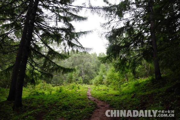 平泉縣林業(yè)局建立巡察工作制度 從嚴管理成為新常態(tài)