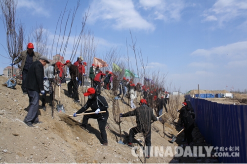 唐山路南開展“世園情 我行動”志愿服務(wù)實踐活動