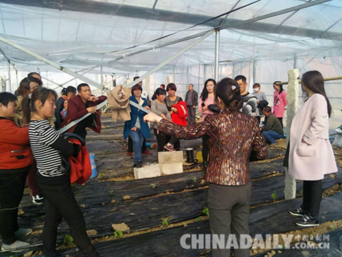 唐山玉田穩(wěn)步推進(jìn)新型職業(yè)農(nóng)民培養(yǎng)工作