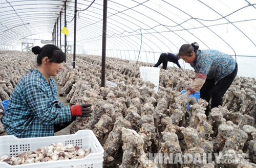 承德平泉:科技創(chuàng)新助力企業(yè)轉(zhuǎn)型升級