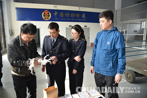 石家莊正定機場中郵國際快件分揀中心成功運營