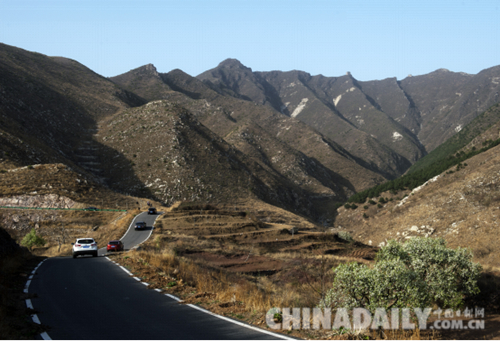 唐山遷安：野綠引得游人醉