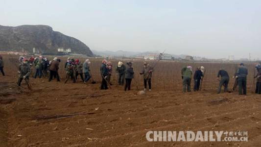 承德平泉：種下苗木“搖錢樹” 走上發(fā)展“致富路”