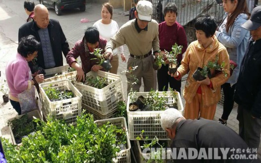 唐山文北街道“三個(gè)注重”提升轄區(qū)世園會(huì)周邊環(huán)境