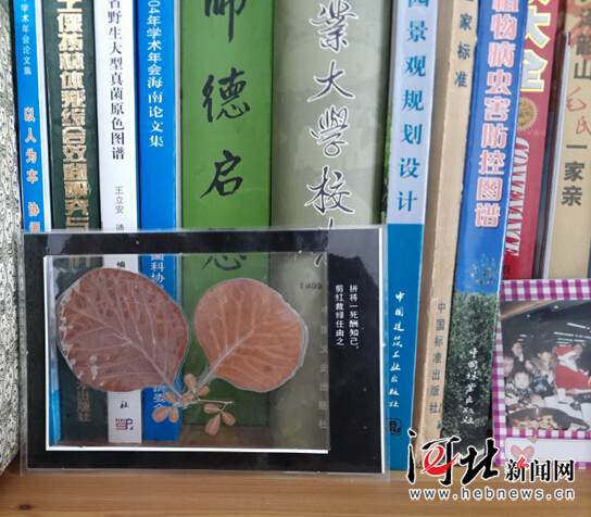 【網(wǎng)絡(luò)媒體走轉(zhuǎn)改】追記李保國教授:心之所在 魂歸太行