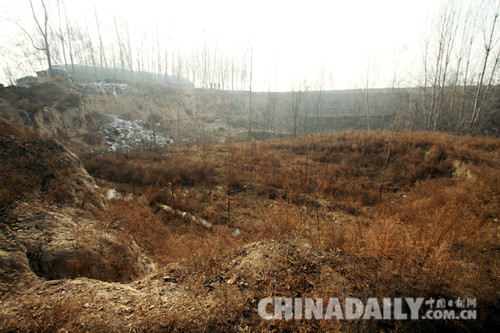 河北館陶：讓“睡眠土地”迸發(fā)經(jīng)濟活力