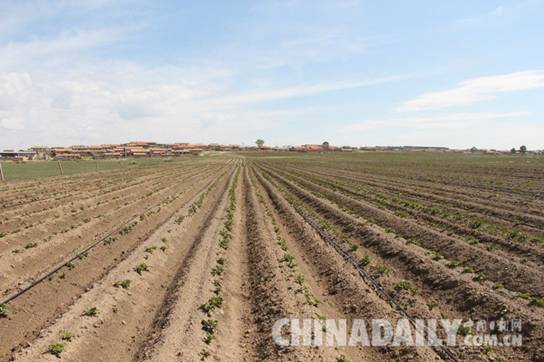 河北強化土地管理 推進土地節(jié)約集約利用